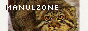 mzone.png