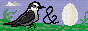 grayjayandtheegg.gif