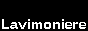 steven_lavimoniere.gif