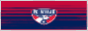 footballclubdallasbutton.gif