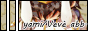 archived 88x31 button #88781