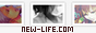 archived 88x31 button #88872