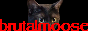 172.png