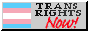transrights.gif