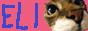 zwiebeli.png