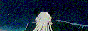 88x3113.gif