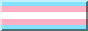 transpride.jpg