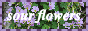 button.png