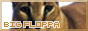 bigfloppa.gif