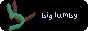 button.gif
