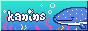 kanins.gif