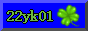 22yk01.png