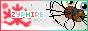 zyphire.png