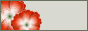 88x31button.jpg