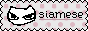 siamese.gif