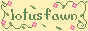 lotusfawn.gif