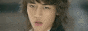 button-shinee.gif