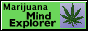 MindExplorer.gif
