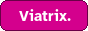 e-vi.png