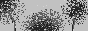 hatsu.gif