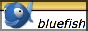 bluefish.png