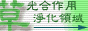 88x3114.gif