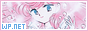 wp-net-88x31-03.gif