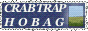cthBadge.gif