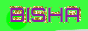 bisha.gif