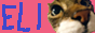 button_zwiebeli.png
