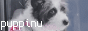 button3.gif