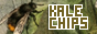 kalechips.png