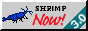 smallbluedreamf.png