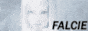 falcie.gif
