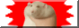 button_rathold.gif
