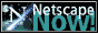 netscapeb.gif