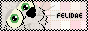 felidae.png