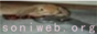 soniwebbutton.png