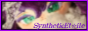 button(2).png