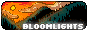 bloomlights.gif