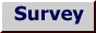 survey.gif