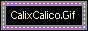 calixcalico.gif