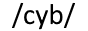 cyb.png