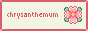 chrysanthemum-button.png