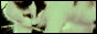 archived 88x31 button #91405