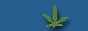 legalize_now.gif