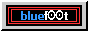 bluef00t.gif