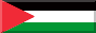 palestine.jpeg