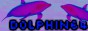 dolphin64.jpg
