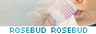 archived 88x31 button #91617
